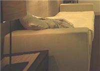美式新古典风格沙发床/CS-0002